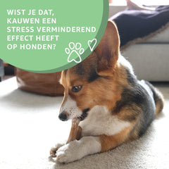 Buffelhuid-2