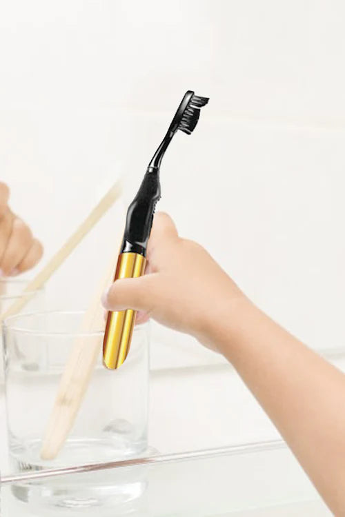 Brush Buddies Lady Gaga Musical Toothbrush (Born This Way & Bad Romance)