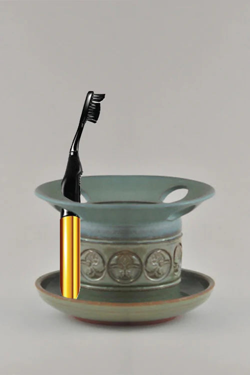 Brush Buddies Lady Gaga Musical  Toothbrush (Born this Way & Teeth)