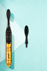 Singer Lady Gaga Replacement Tooth Brush Heads