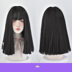 Natural Long Straight Hair Wig Set-2