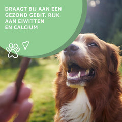Best Himalayan Yak Chews for Dogs – Natural Yak Milk Sticks -2